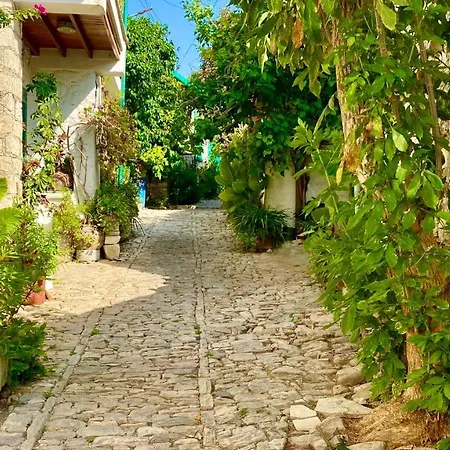 Listed In Laneia Lania